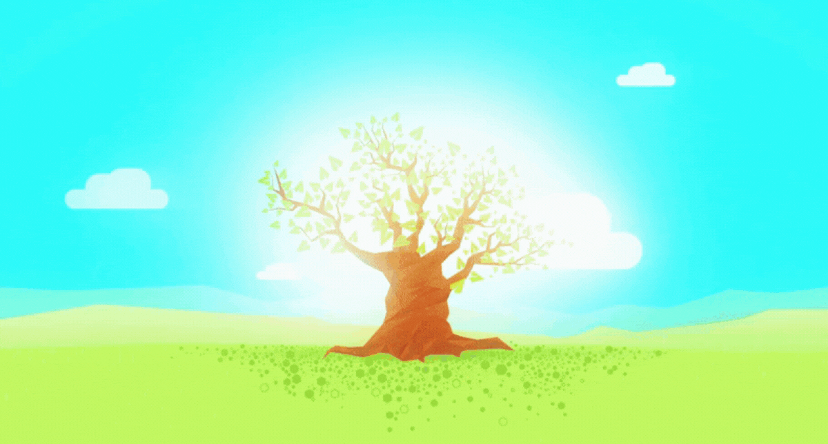 A tree in the middle of a field, shedding and growing leaves as it experiences the seasons changing.